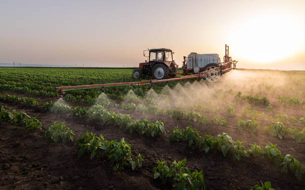 Trusted Sunflower, MS Pest Control Experts
