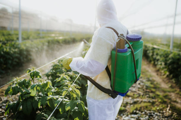 Best Emergency Pest Control  in Sunflower, MS